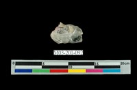 藏品(水晶)的圖片